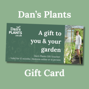 Dan's Plants Gift Card